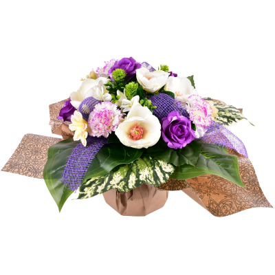 Rose Œillet Magnolia Daisy