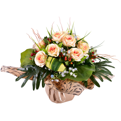 Rose Gypso Hypericum