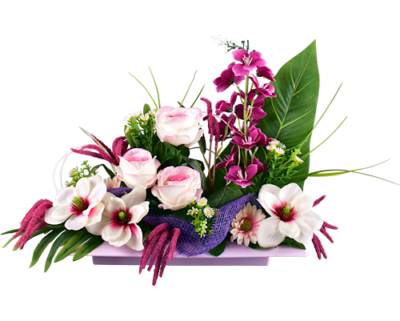 Plateaux