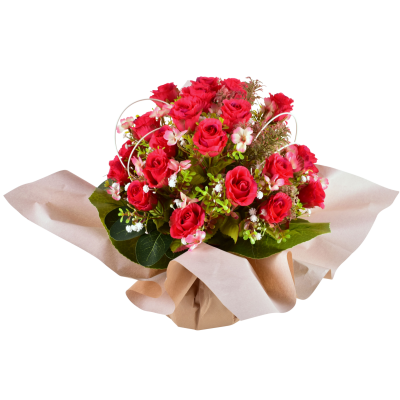 Hermine : Rose fleurette cyprès