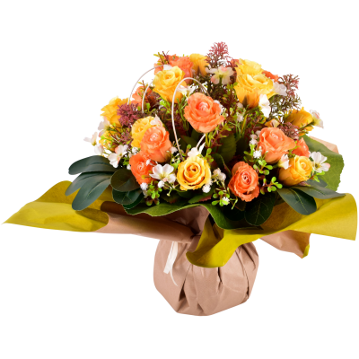 Hermine : Rose fleurette cyprès