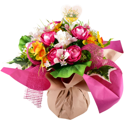 Suzon : Renoncule alstro iris