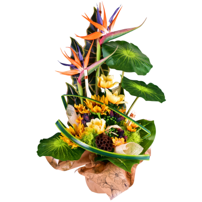Ysalis : Anémone tournesol daisy