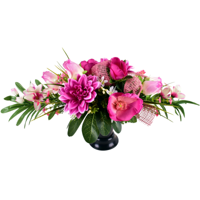 Dahlia Bouton Orchidée Fleurette
