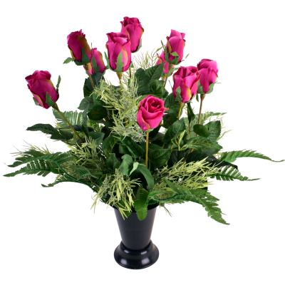 Rose Bouton Springeri