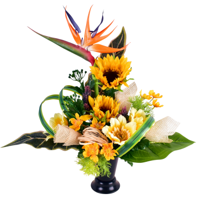 Ysalis : Anémone tournesol daisy