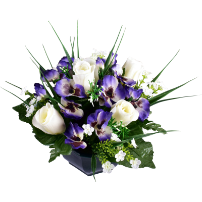 Pensée Bouton Fleurette