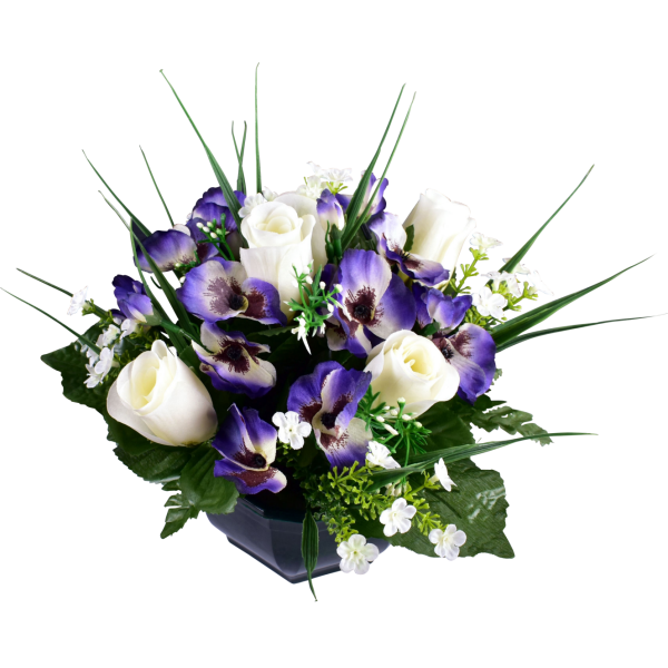 Pensée Bouton Fleurette
