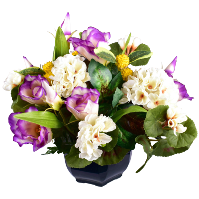 Géranium Lysianthus Craspédia