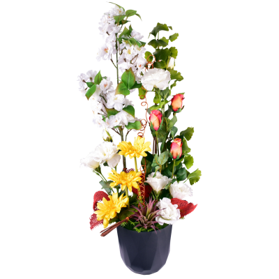 Cerisier Lysianthus Bouton Gerbera