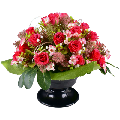 Hermine : Rose fleurette cyprès