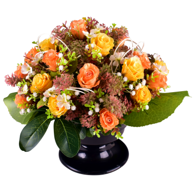 Hermine : Rose fleurette cyprès