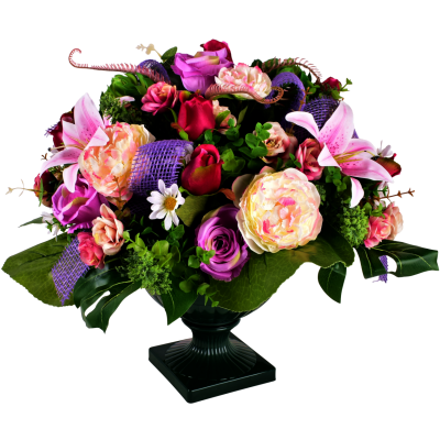 Ida : Rose bouton lys