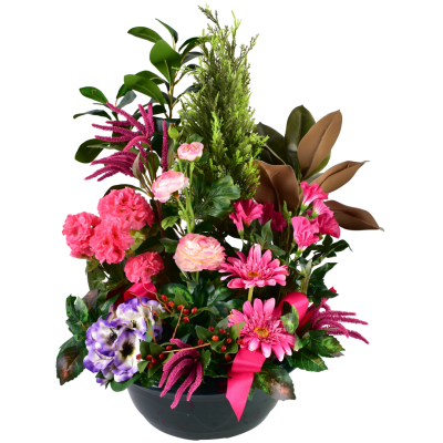 Renoncule Géranium Gerbera