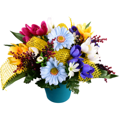 Crocus Daisy Baies