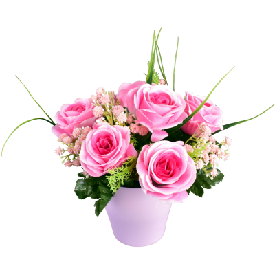 Rose Gypso
