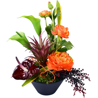 Renoncule Callas Anthurium