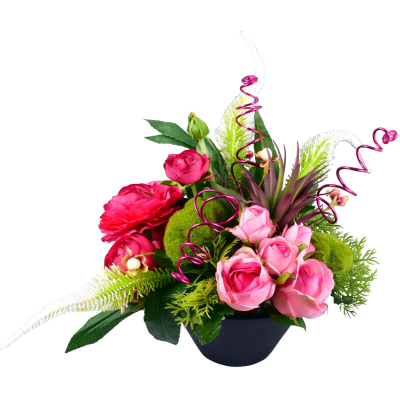 Renoncule Rose Véronique