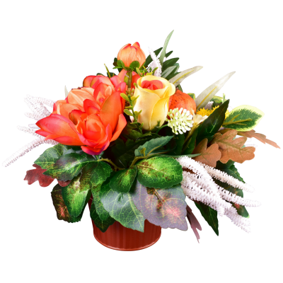 Salome : Dahlia zinnia bouton