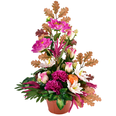 Salome : Dahlia zinnia bouton