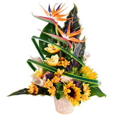 Ysalis : Anémone tournesol daisy