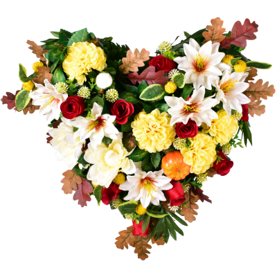Salome : Dahlia zinnia bouton