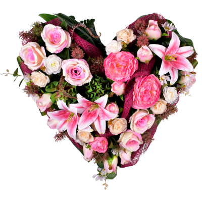 Ida : Rose bouton lys