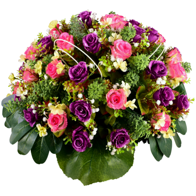 Hermine : Rose fleurette cyprès