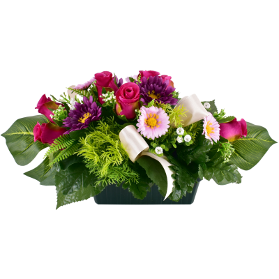 Rose Marguerite