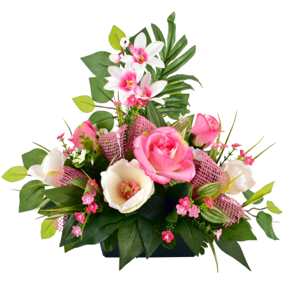 Orchidée Rose Magnolia