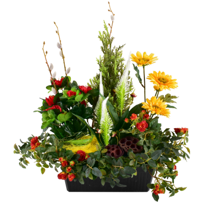 Gerbera Rosier Cyprès Azalée