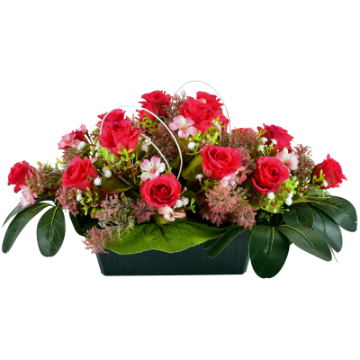 Hermine : Rose fleurette cyprès