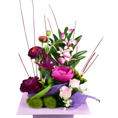 Renoncule Bouton Orchidée