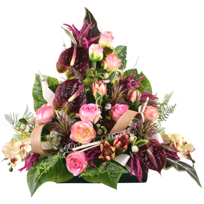 Vallières : Protea rose fleurette