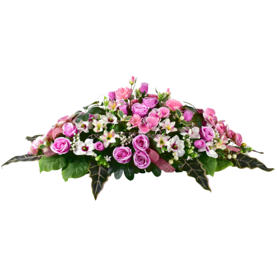 Cordouan : Rose lys magnolia lysianthus