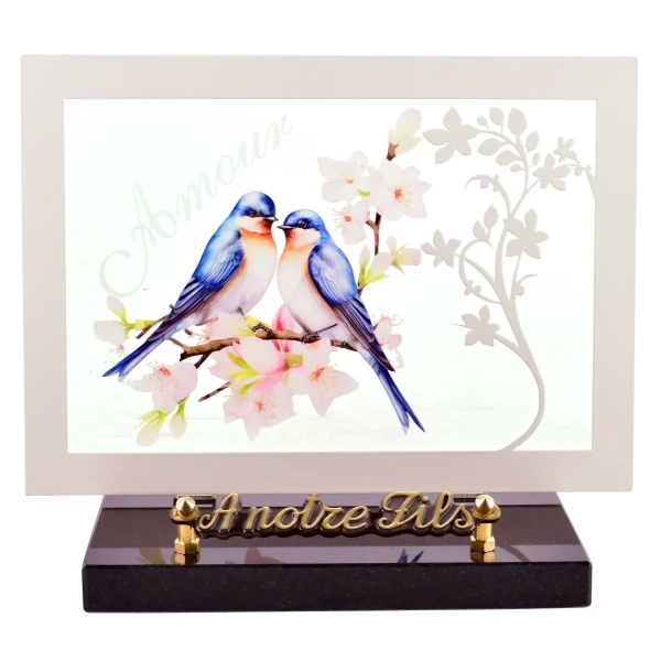 Oiseaux