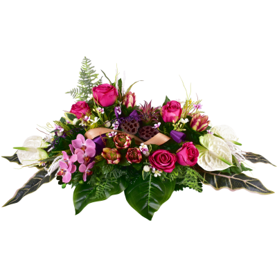 Vallières : Protea rose fleurette