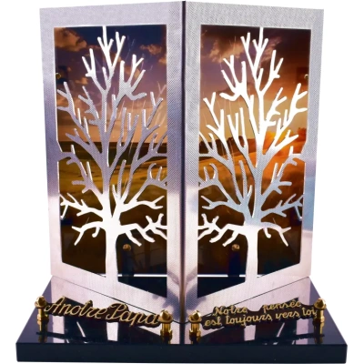 Arbre inox relief coucher de soleil campagne