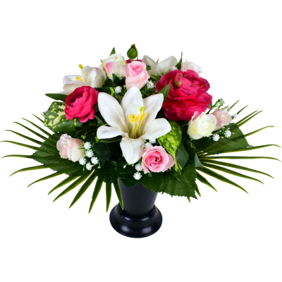 Rose Lys