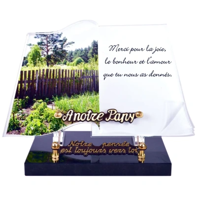 Livre jardin potager et palissade