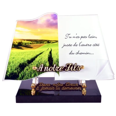 Livre champs