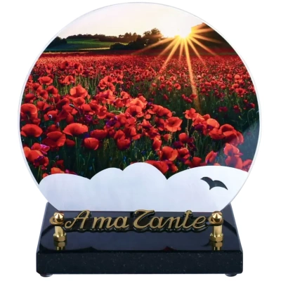 les coquelicots