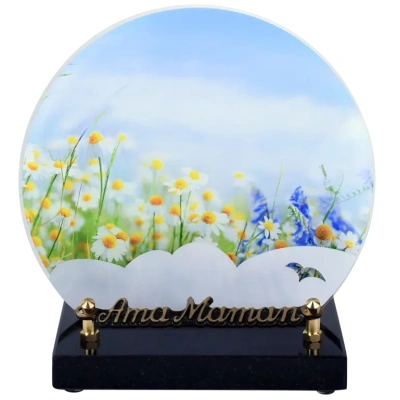 fleurs des champs