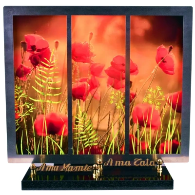 Champs de coquelicots