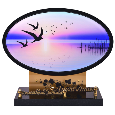 Coucher de soleil et oiseaux