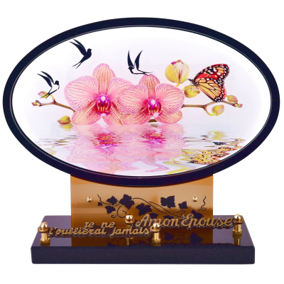 Orchidée et oiseaux