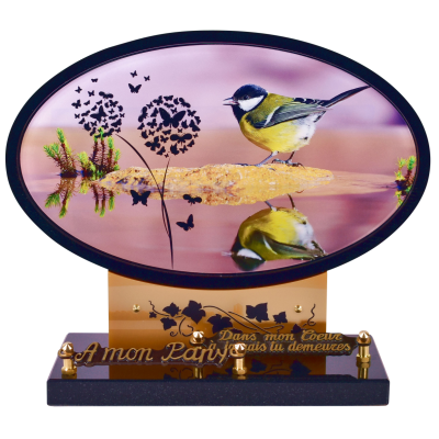 Mésange et papillons
