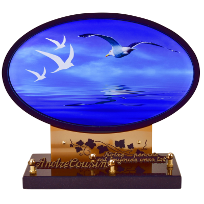 Mer et oiseaux