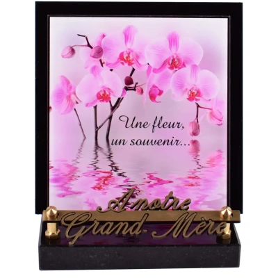 Orchidée