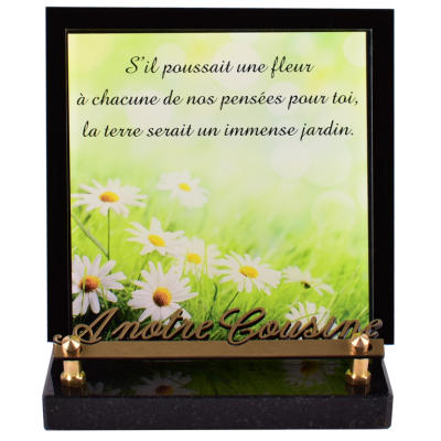 Marguerites